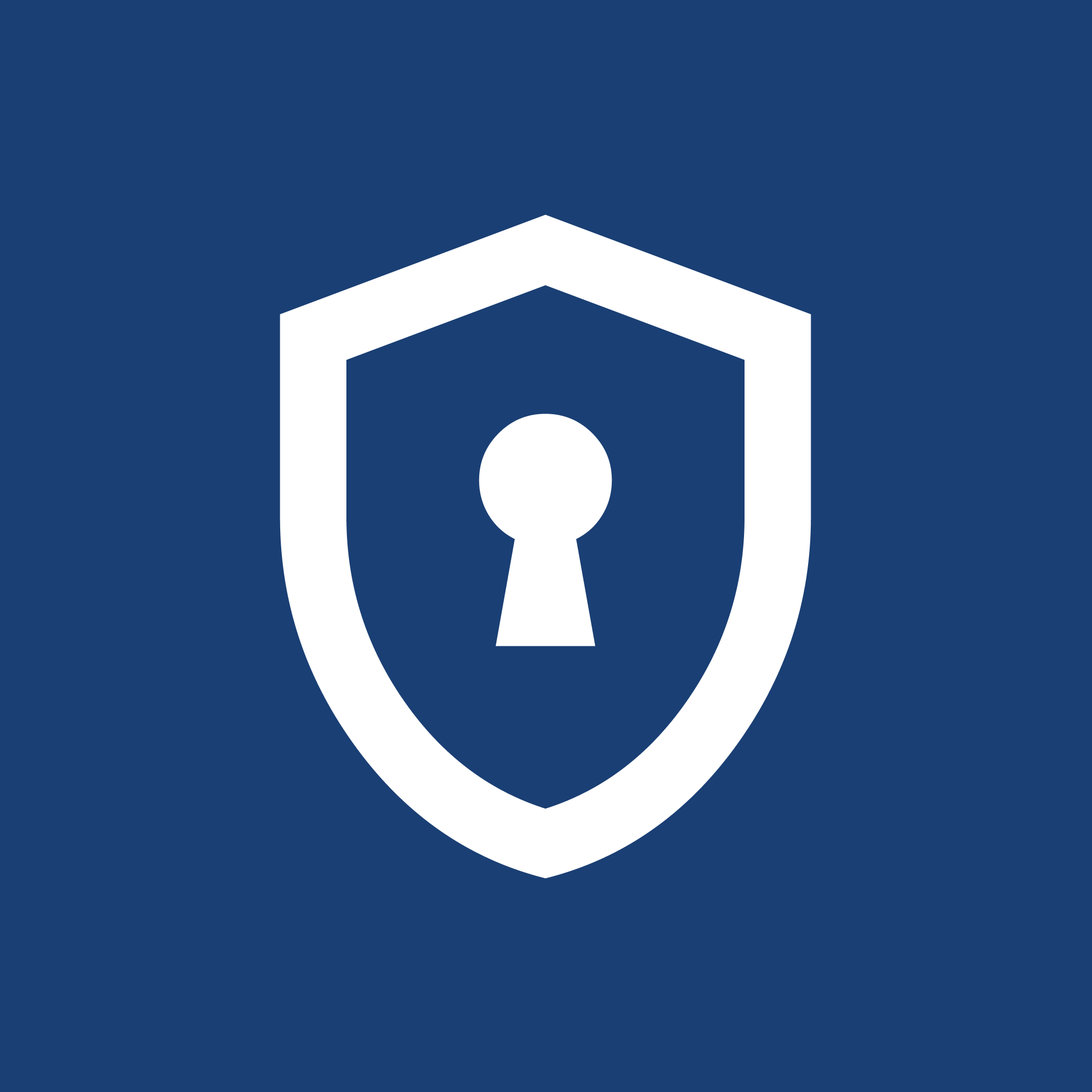 ícone de proteção e segurança